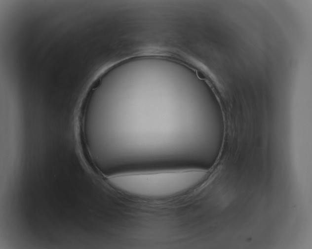 X0000101091463200806261052