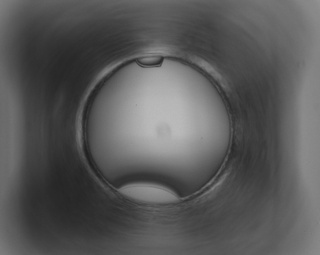 X0000101091469200806261052