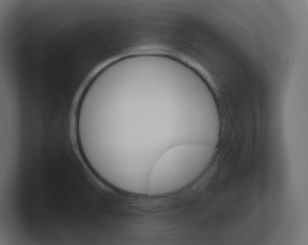 X0000101091470200806261052