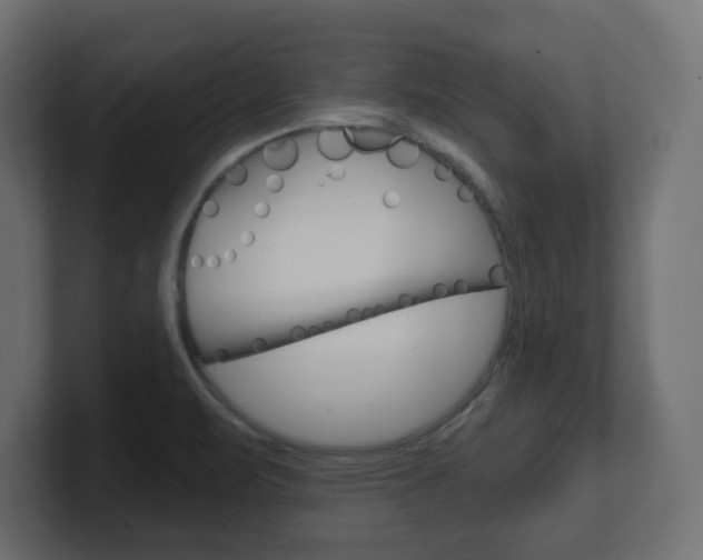 X0000101091471200806261052