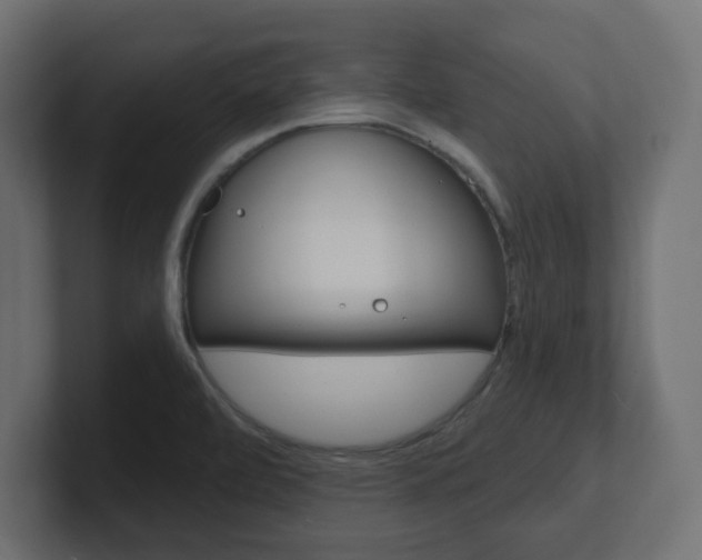 X0000101091472200806261052