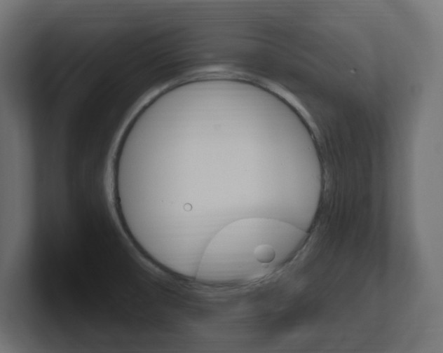 X0000101091474200806261052