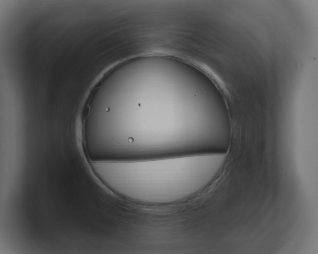 X0000101091476200806261052
