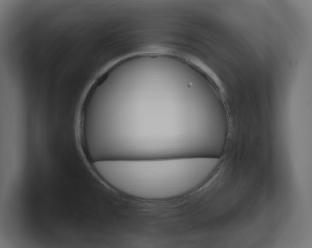 X0000101091477200806261052