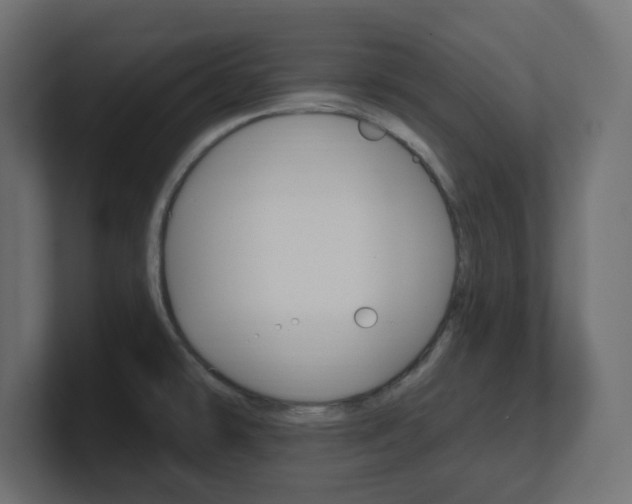 X0000101091478200806261052