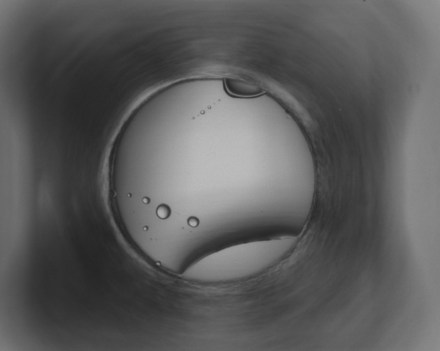 X0000101091479200806261052
