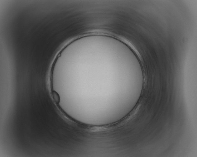 X0000101091482200806261052