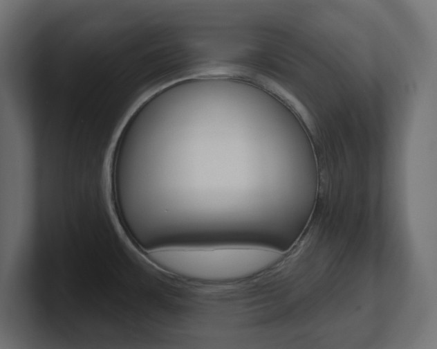 X0000101091483200806261052