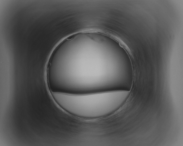 X0000101091484200806261052