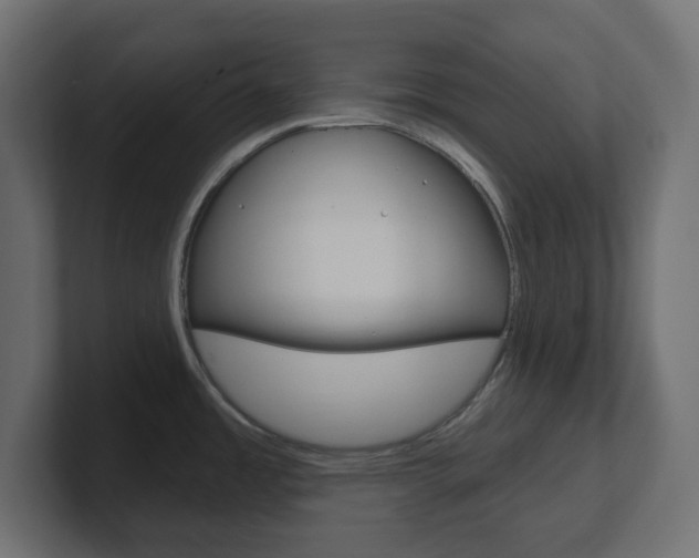 X0000101091485200806261052