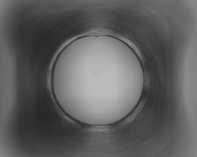 X0000101091486200806261052