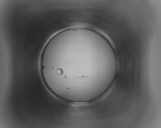 X0000101091487200806261052