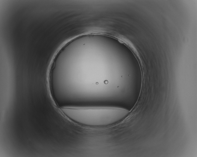 X0000101091488200806261052