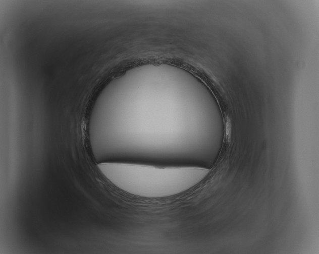 X0000101091492200806261051