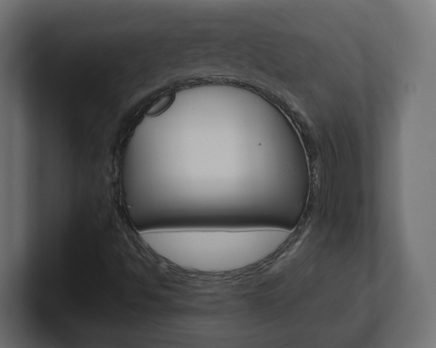 X0000101091494200806261051