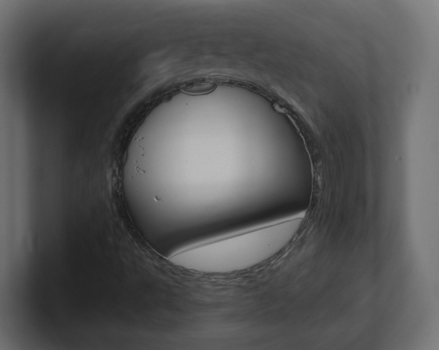 X0000101091495200806261051