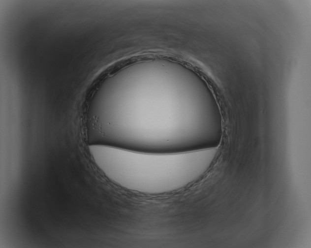 X0000101091496200806261051