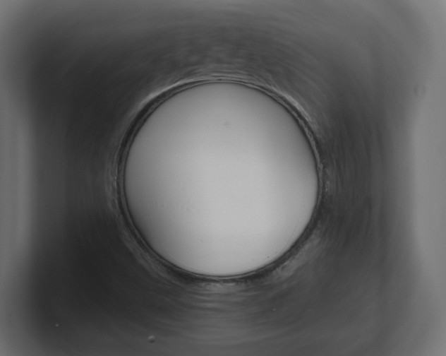X0000101091499200806261051