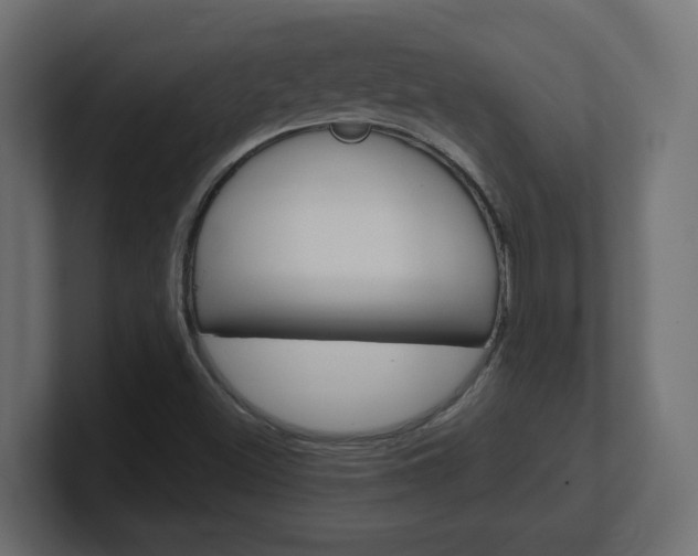 X0000101091500200806261051