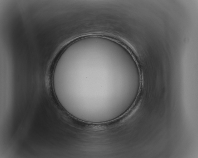 X0000101091501200806261051