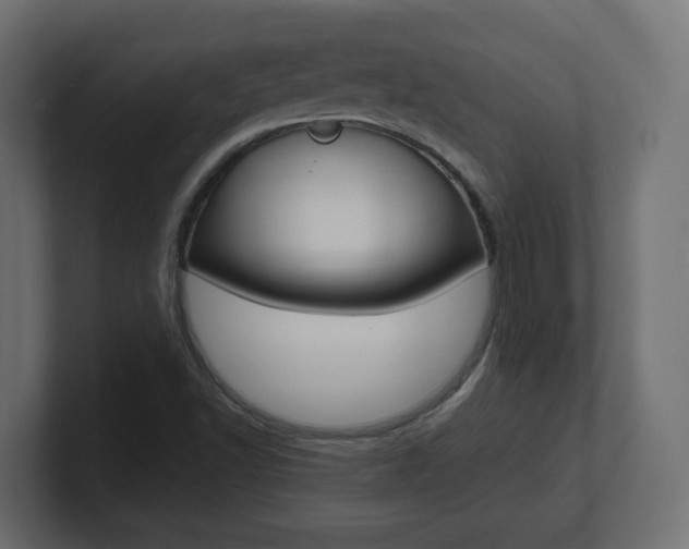 X0000101091502200806261051