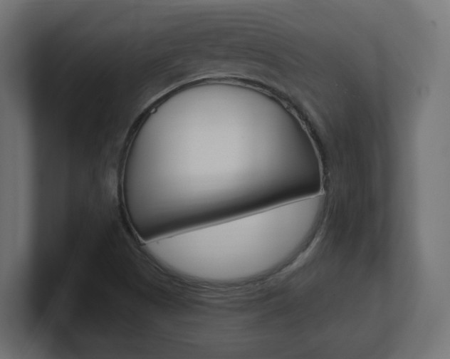 X0000101091505200806261051