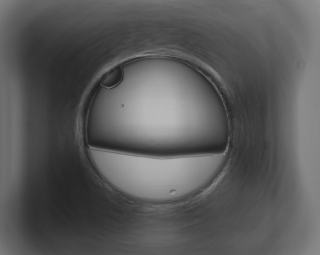 X0000101091506200806261051