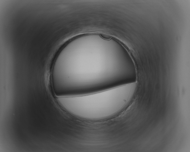 X0000101091507200806261051