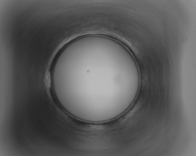 X0000101091509200806261051