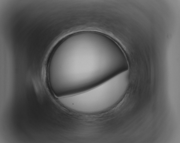 X0000101091511200806261051