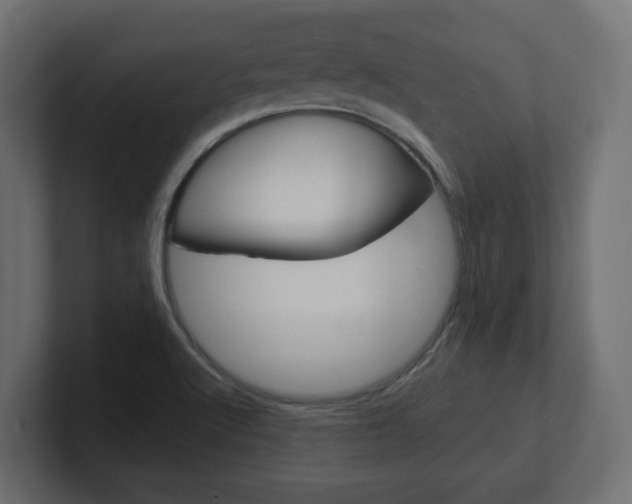 X0000101091512200806261051