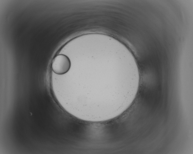 X0000101091514200806261051