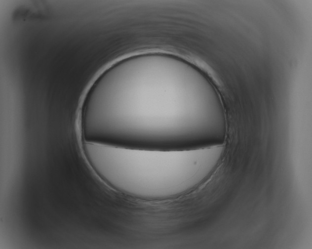 X0000101091516200806261051