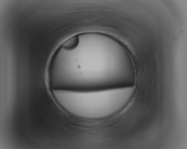 X0000101091517200806261051