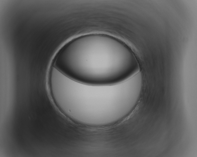 X0000101091518200806261051