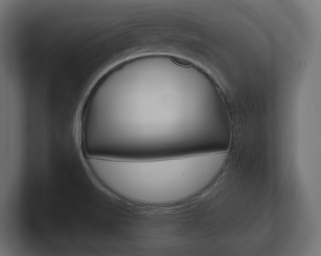 X0000101091519200806261051