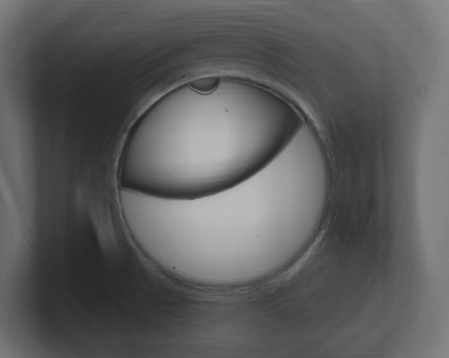 X0000101091521200806261051