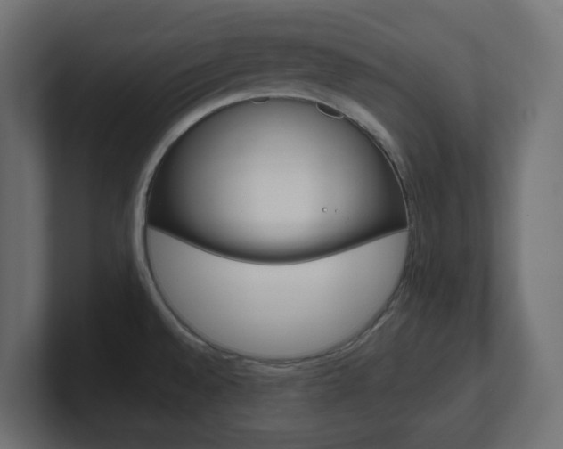 X0000101091528200806261052