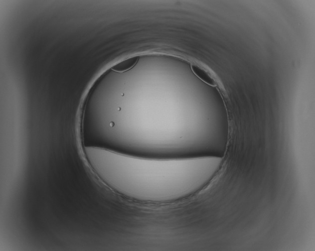 X0000101091530200806261052