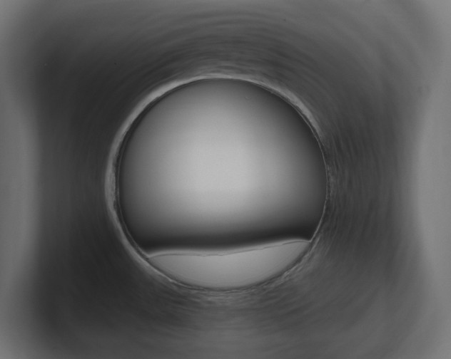 X0000101091531200806261052