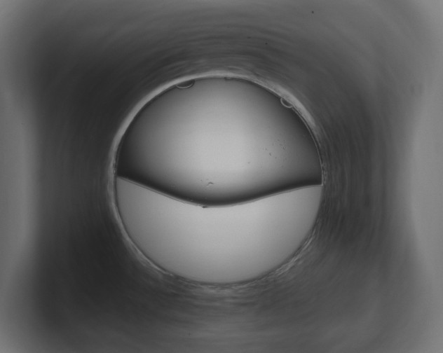 X0000101091532200806261052