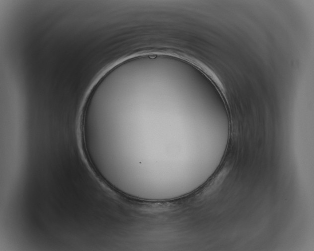 X0000101091533200806261052