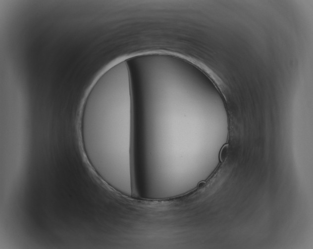 X0000101091534200806261052
