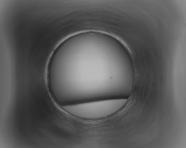 X0000101091535200806261052