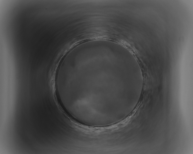 X0000101090002200806261501