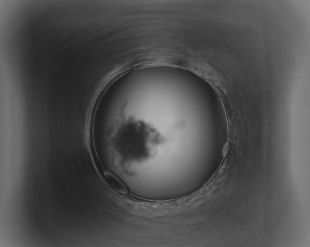 X0000101090003200806261501