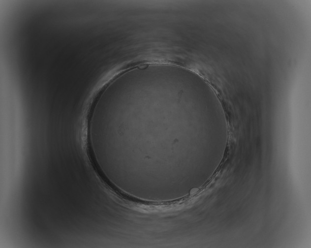 X0000101090005200806261501