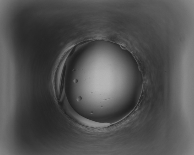 X0000101090006200806261501