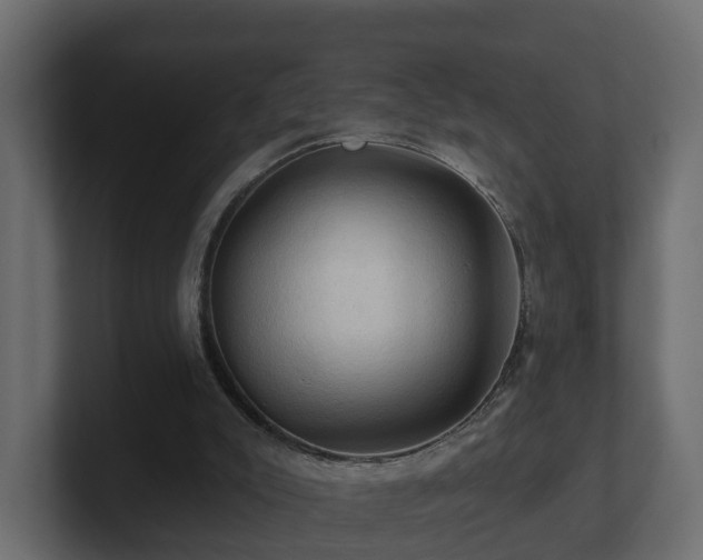 X0000101090007200806261501