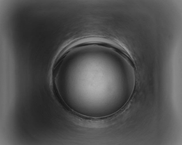 X0000101090008200806261501